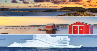 New website for Newfoundland 